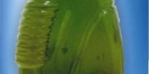 Extra Virgin Olive Oil