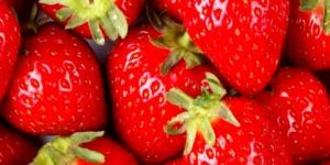 Frozen Strawberry Pulp