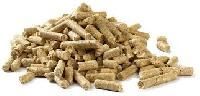 Biofuel Pellet