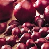 Bellary Onion