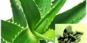 Aloe Vera Capsule