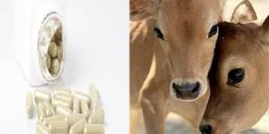 Cow Colostrum Capsules