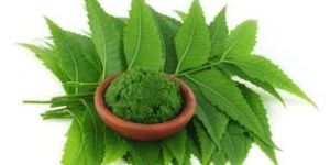 Neem Capsules