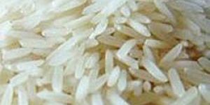 Swarna Rice