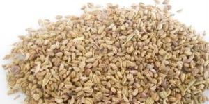Ajwain Seeds
