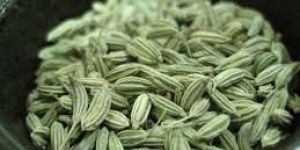Fennel Seeds