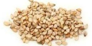 Sesame Seeds
