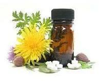 Herbal Food Supplements