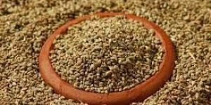 Ajwain Seeds