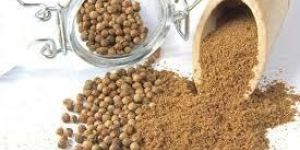Coriander Seeds & Powder