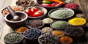 Indian Spices