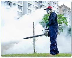 Smoke Fumigation Services