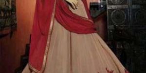 Amazing Rust & Red Anarkali Suit