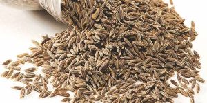 Cumin Seeds