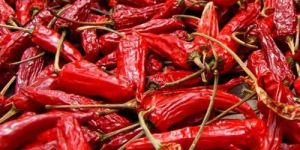 Long Dried Red Chilli