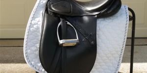 Dressage Horse Saddles