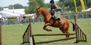 Jumping  Horse Saddles