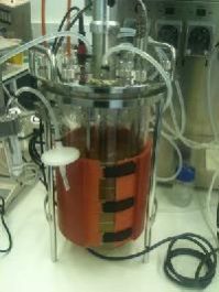 Bioreactors
