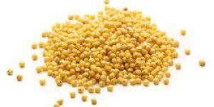 Organic Mustered Seeds