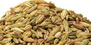 Fennel Seeds