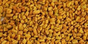 Fenugreek Seeds