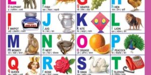 18x23 Educational Charts