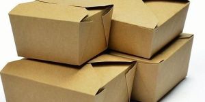 Fast Food Packaging Box