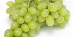 Fresh Grapes
