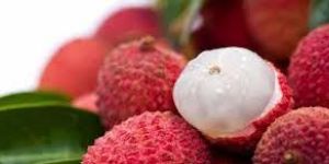 Fresh Litchi