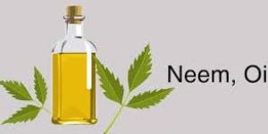 Neem Oil