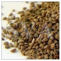 Celery Seed Oil