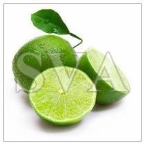 Lime Oil