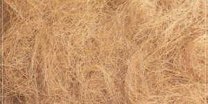 Coir Fibre