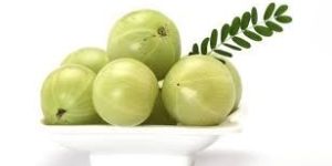 Fresh Amla