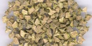 Gokhru Extract