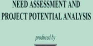 Financial and Management Analysis