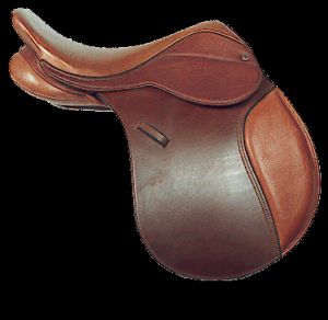 Saddle