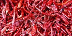 Dried Red Chilli