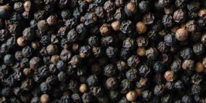 Black Pepper Seeds