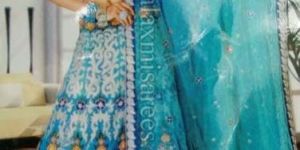 Dn 0001 Designer Saree