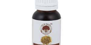 Carrot Seed Oil