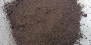 Organic Vermi Compost