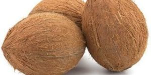 Fresh Coconut