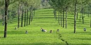 HOLIDAY PACKAGE TOURS