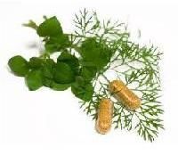 Herbal Food Supplements