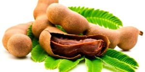 Tamarind