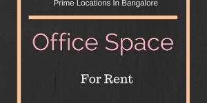 Commercial Office Rental Service