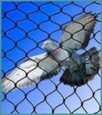 Bird Protection Netting
