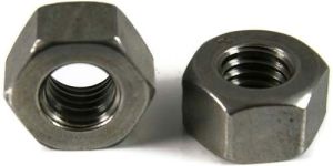 Hex Nuts