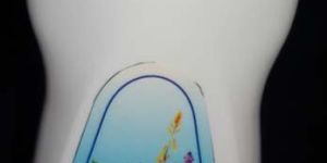 Herbal Touch Moisturiser